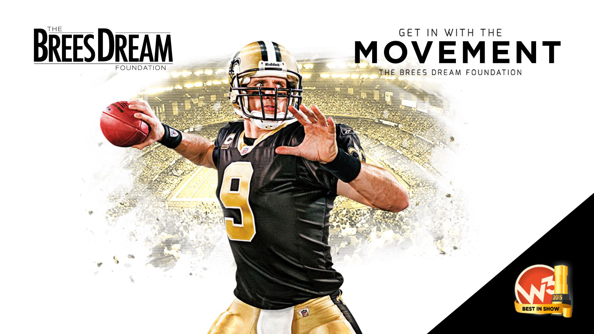 drew brees website design