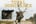 Leupold Total Dominance Product Marketing Campaign Design