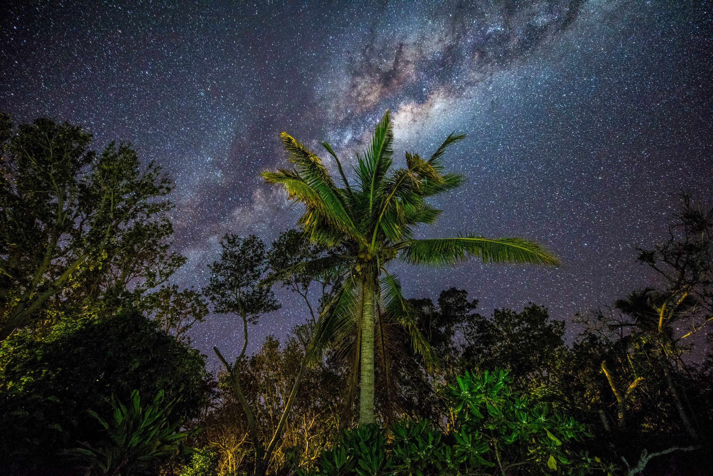 tavarua sky night photo