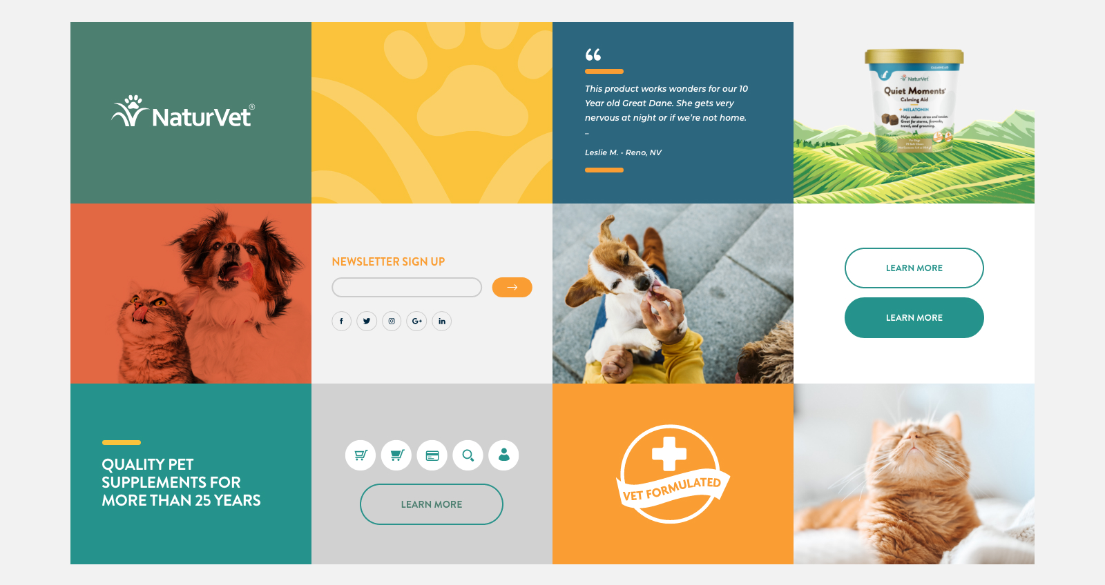 pet supplement design and marketing