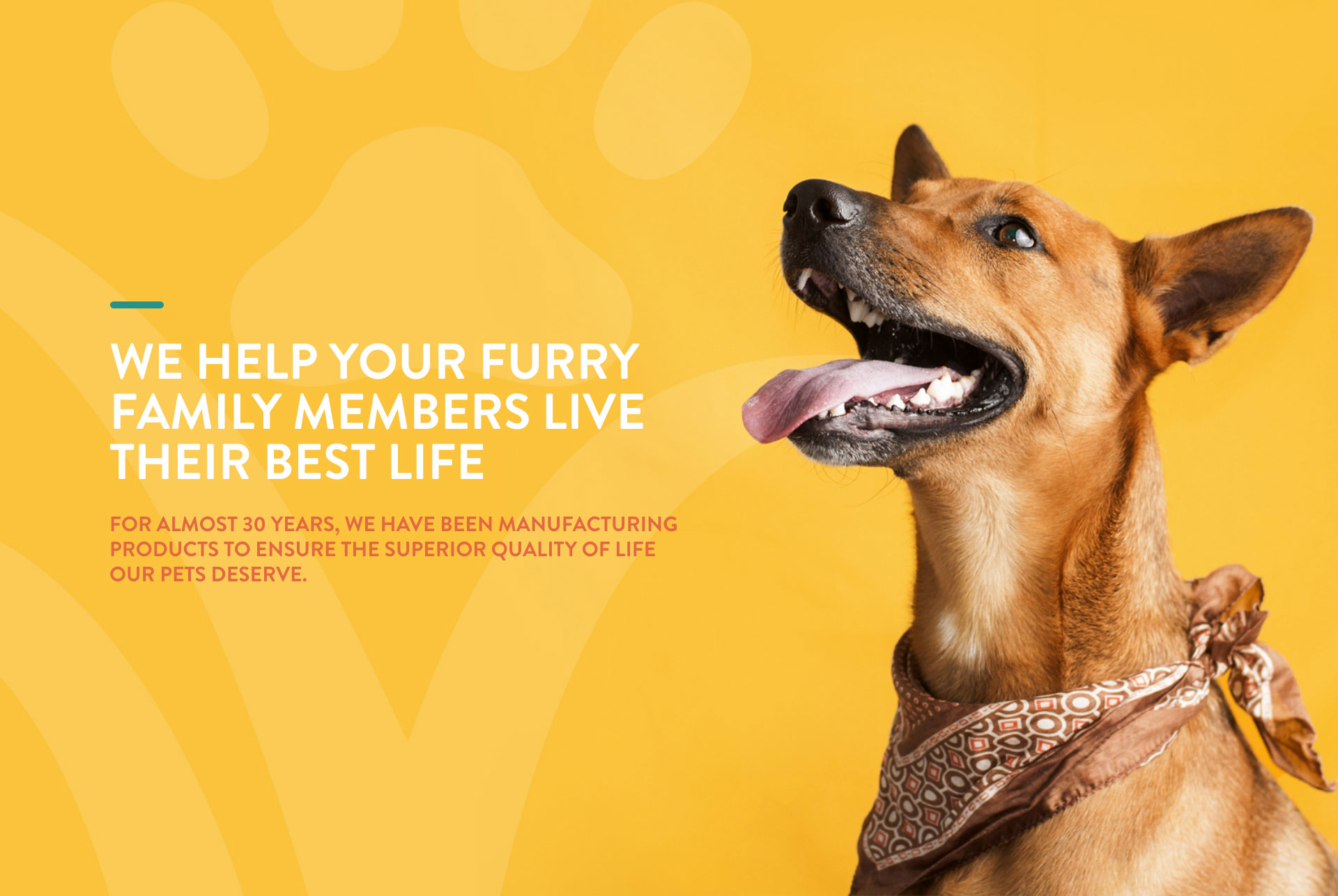 NaturVet rebrand key art design