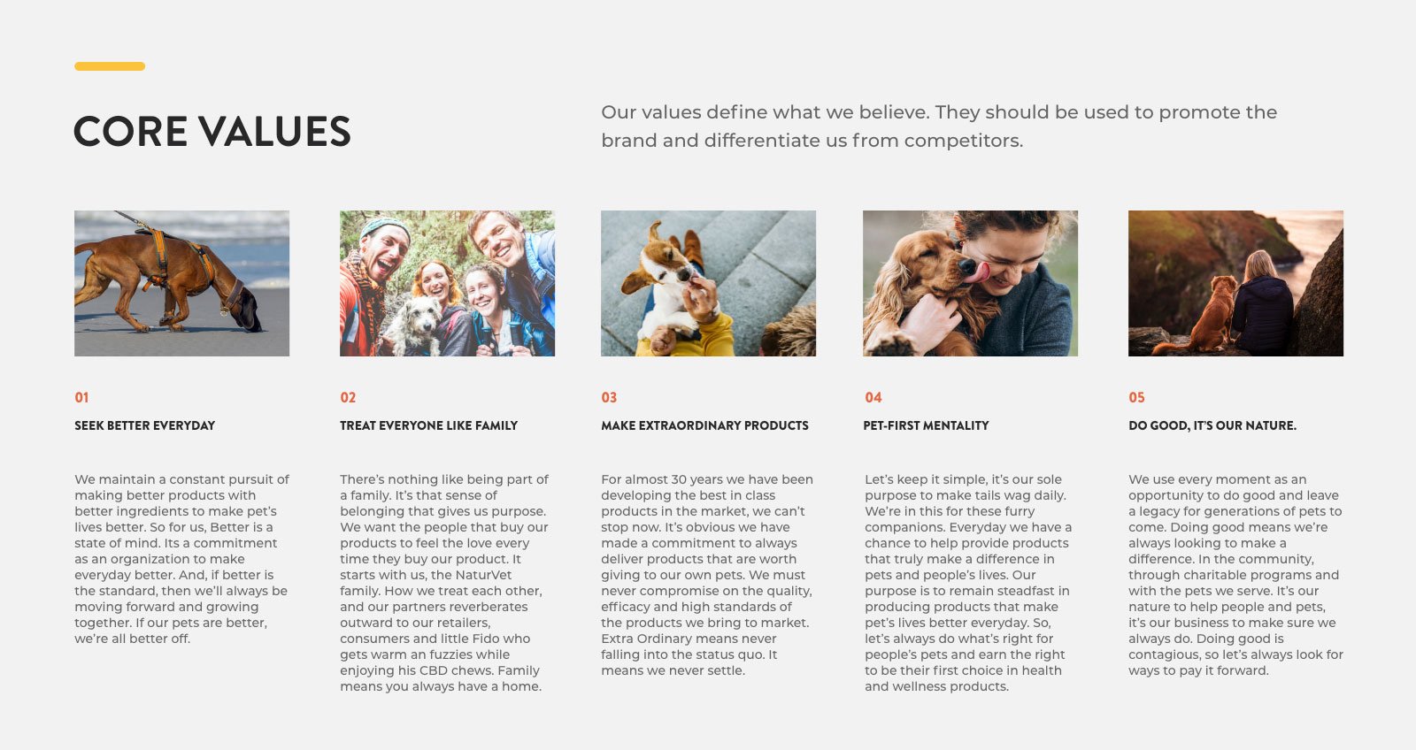 Naturvet Branding core values